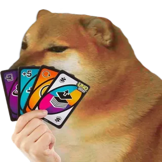 🐶 Doge Doge, Uno, เกม, มีม, เกมไพ่, ไพ่ whatsapp sticker