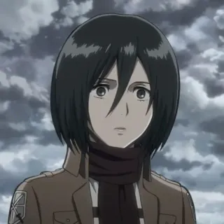 🥀 Mikasa Ackerman Attack on Titan anime, character, manga, animation, attack on titan, mikasa, mikasa ackerman telegram sticker