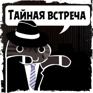 🌃 ТАЙНАЯ ВСТРЕЧА cat, spy, secret, meeting, detective telegram sticker