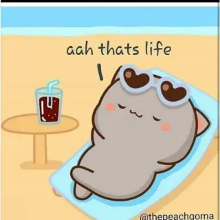 😎 aah thats life cat, beach, relaxation, sunglasses, cartoon, cute, summer whatsapp sticker