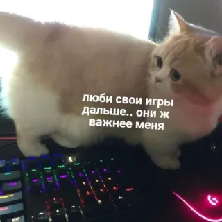 🤍 люби свои игры дальше.. они ж важнее меня gato, fofo, gaming, teclado, russo, meme telegram sticker
