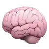 🧠