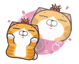 ⭐️ gato, gatito, gato naranja, lindo, pegatina, animal telegram sticker