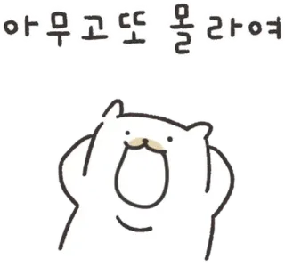 💬 아무고 또 몰라여 кот, животное, милый, мем, смешной, корейский, текст whatsapp sticker