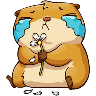 😭 hamster, triste, chorando, flor, fofo telegram sticker
