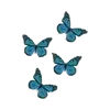 🦋