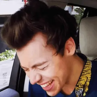 💞 Harry Styles นักร้อง, คนดัง, แฮร์รี่ สไตลส์, หัวเราะ telegram sticker