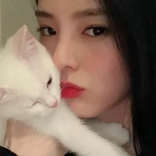 🤍 wanita, kucing, hewan peliharaan, hewan, potret, selfie telegram sticker