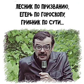 🎤 ЛЕСНИК ПО ПРИЗВАНИЮ, ЕГЕРЬ ПО ГОРОСКОПУ, ГРИБНИК ПО СУТИ... russian, funny, text, leśniczy, grzybiarz telegram sticker