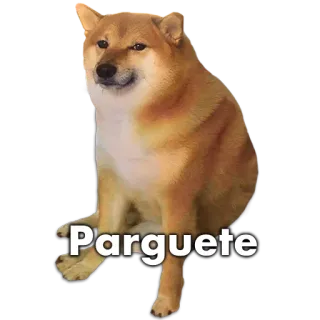🐶 Parquete หมา, มีม, ชิบะอินุ, ปาร์เก้ whatsapp sticker