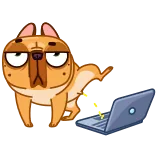 ๐ป hond, laptop, cartoon, humor, computer telegram sticker