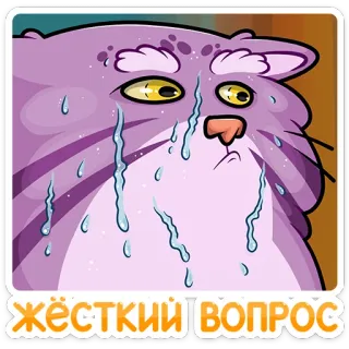😓 ЖЁСТКИЙ ВОПРОС gato, chorando, triste, pergunta, russo, pergunta difícil, desenho animado telegram sticker