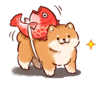 🐟 cane, Shiba Inu, pesce, animale, carino whatsapp sticker