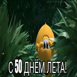 😱 С 50 ДНЁМ ЛЕТА! whatsapp sticker