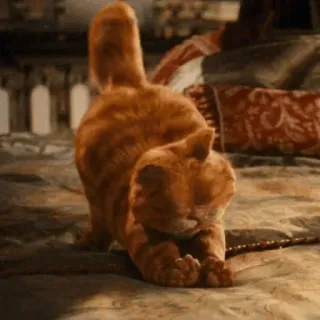 🤣 Garfield cat, orange, stretching, animal, pet, cartoon telegram sticker