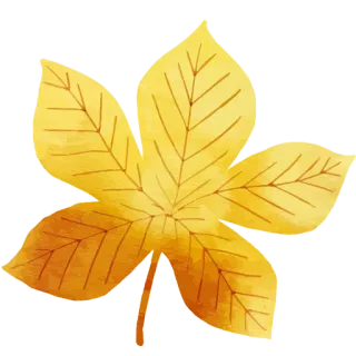 🍂 folha, amarelo, outono, natureza, outono, planta, estação, flora telegram sticker