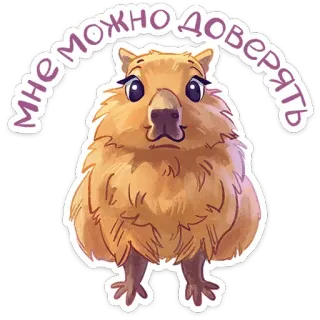 😌 мне можно доверять капибара, животное, доверие, милый, мультфильм telegram sticker