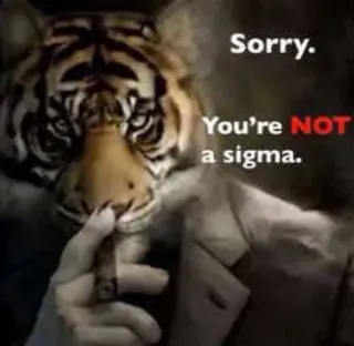 🐅 Sorry. You're NOT a sigma. telegram sticker