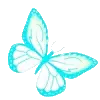 🦋
