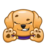 👍
