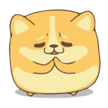 🙏 dog, animal, cute, begging, cartoon telegram sticker