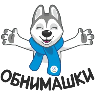 🤗 Husky, Hund, Cartoon, Schal, Tier, süß telegram sticker