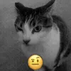 🤨