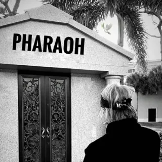 🛐 PHARAOH фараон, египет, гробница, древний, история telegram sticker
