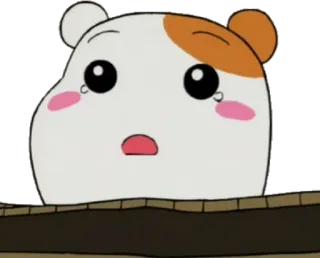 😶 telegram sticker