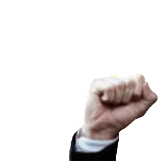 🥊