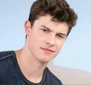 ❓ Shawn Mendes shawn mendes, singer, musician, celebrity, portrait, male telegram sticker