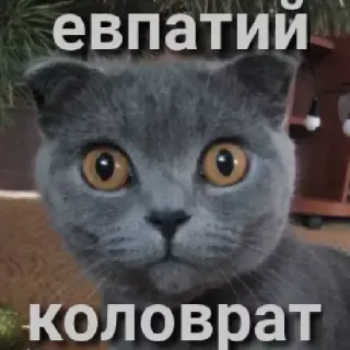 😶 евпатий коловрат telegram sticker