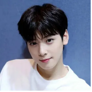 🙂 K-pop, Idole, Asiatique, Homme, Chanteur, Acteur whatsapp sticker