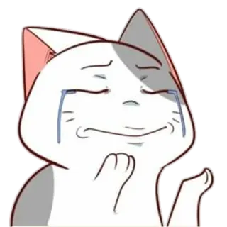 😸 猫, 哭泣, 伤心, 表情包, 表情, 卡通 whatsapp sticker