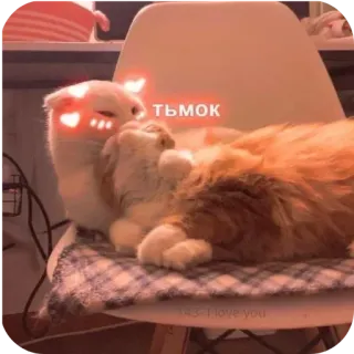 🩰 ТЬМОК telegram sticker