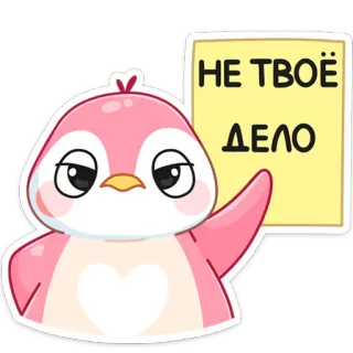 😡 НЕ ТВОЁ ДЕЛО bird, penguin, cute, message, note, statement telegram sticker