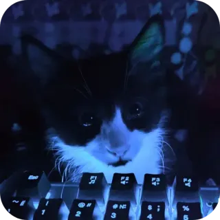 🐱 2
4
LY
"
N#
1
2
3
LY
F3
4
F4
9
% kucing, keyboard, hitam putih, hewan, hewan peliharaan, hewan peliharaan whatsapp sticker