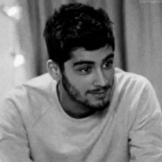🖇 Zayn Malik 泽恩·马利克, 歌手, 肖像, 男人, 名人 telegram sticker
