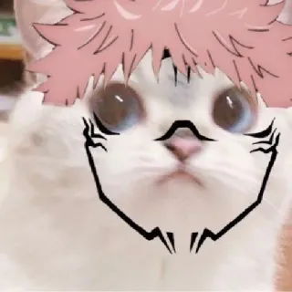👀 Itadori Yuji Jujutsu Kaisen gato, anime, jujutsu kaisen, itadori yuji, engraçado, adesivo telegram sticker