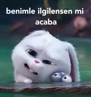 🥺 benimle ilgilensen mi acaba 토끼, 귀여운, 만화, 동물, 질문 whatsapp sticker