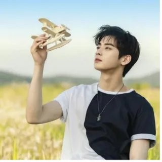 Cha Eunwoo telegram stickers