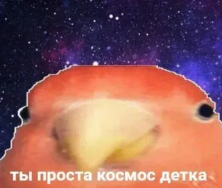 Больше стиков тут: @stikery4 telegram stickers