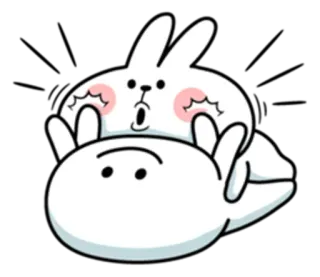 😵 konijn, cartoon, schattig, dier, sticker telegram sticker