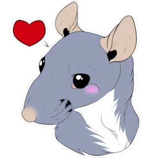 ❤ rat, animal, mignon, cœur, amour telegram sticker