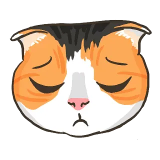 😔 gato, adesivo, fofo, animal, felino, triste, tricolor telegram sticker