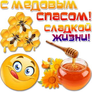 🍯 С МЕДОВЫМ СПАСОМ! СЛАДКОЙ ЖИЗНИ! Honig, Biene, Honigwabe, Emoji, Blumen, Löffel, Honigglas, Slawischer Feiertag telegram sticker