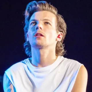 😇 Louis Tomlinson chanteur, homme, pop, musique, célébrité, One Direction telegram sticker