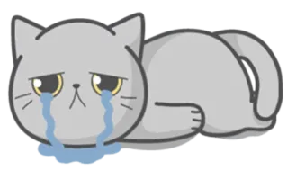 😭 kat, huilen, verdrietig, tranen, grijs, dier telegram sticker
