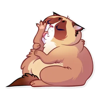 🛀 gato, animal, animal de estimação, fofo, engraçado, lambendo, limpeza, desenho animado whatsapp sticker