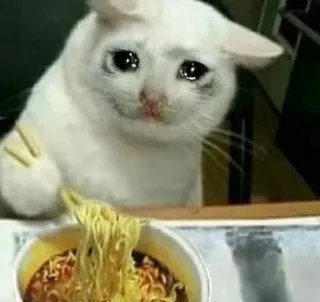 😣 Sad Cat telegram sticker